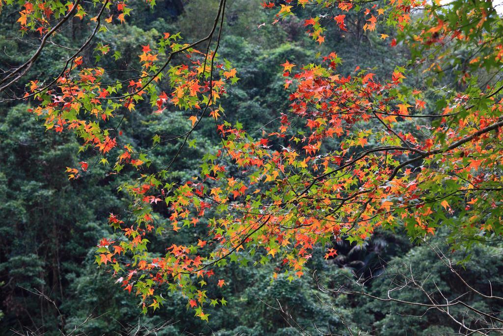 Spring Spa Hotel Wulai Eksteriør billede