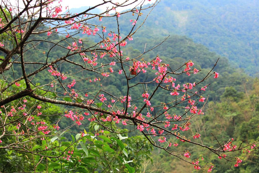 Spring Spa Hotel Wulai Eksteriør billede